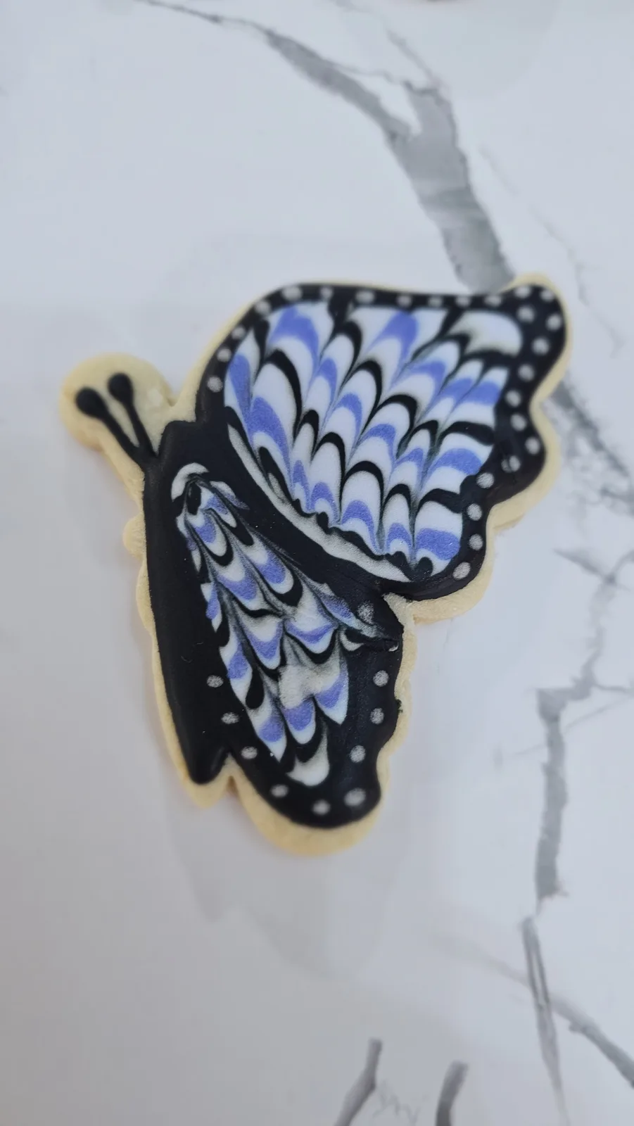 Butterfly shaped sugar cookie decorated with intricate royal icing in black, white, and periwinkle blue featuring feathered wing patterns and dotted edges.