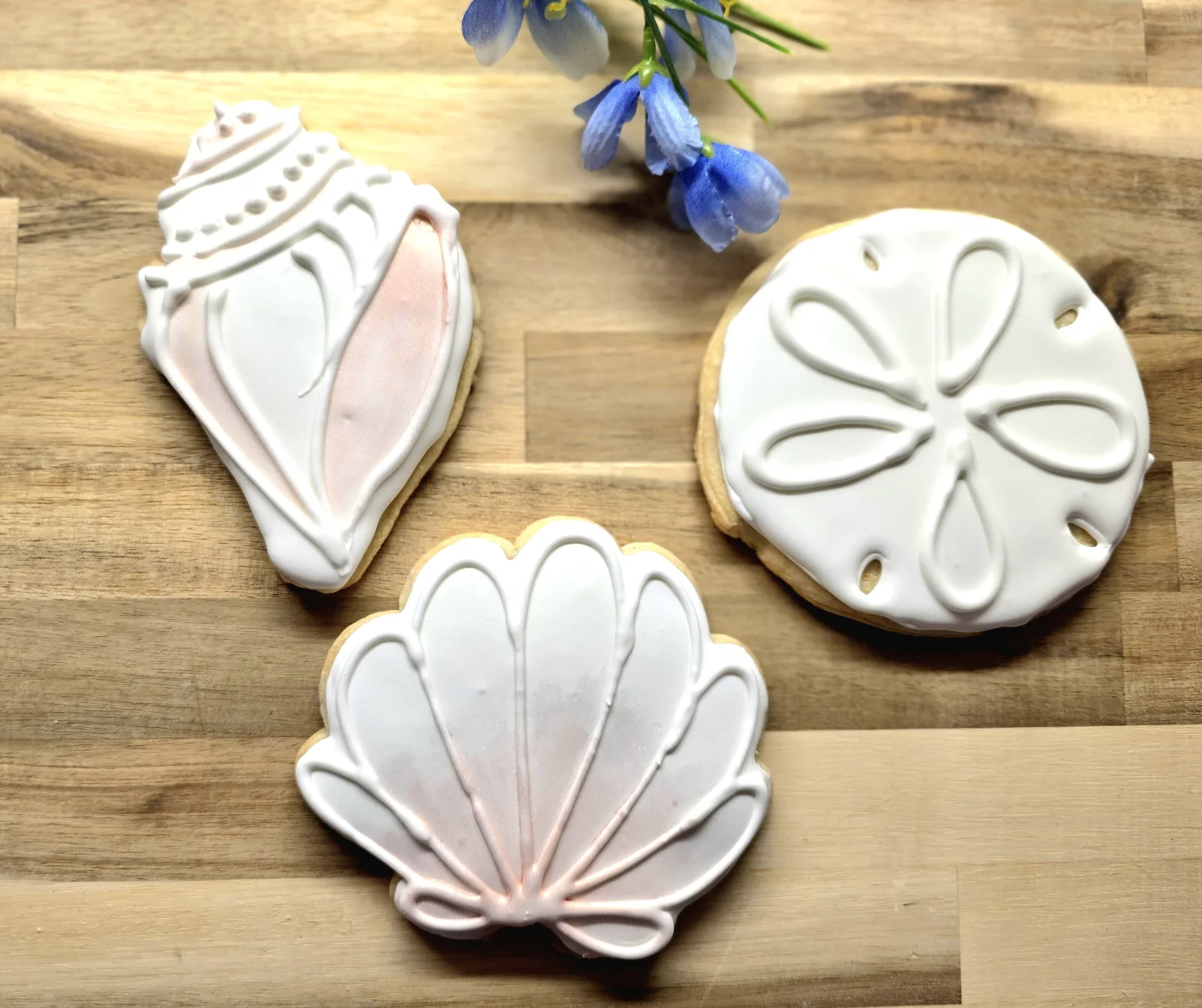 Seashell, conch and sand dollar sugar cookies iced in white and blush on a wood board with blue flowers.