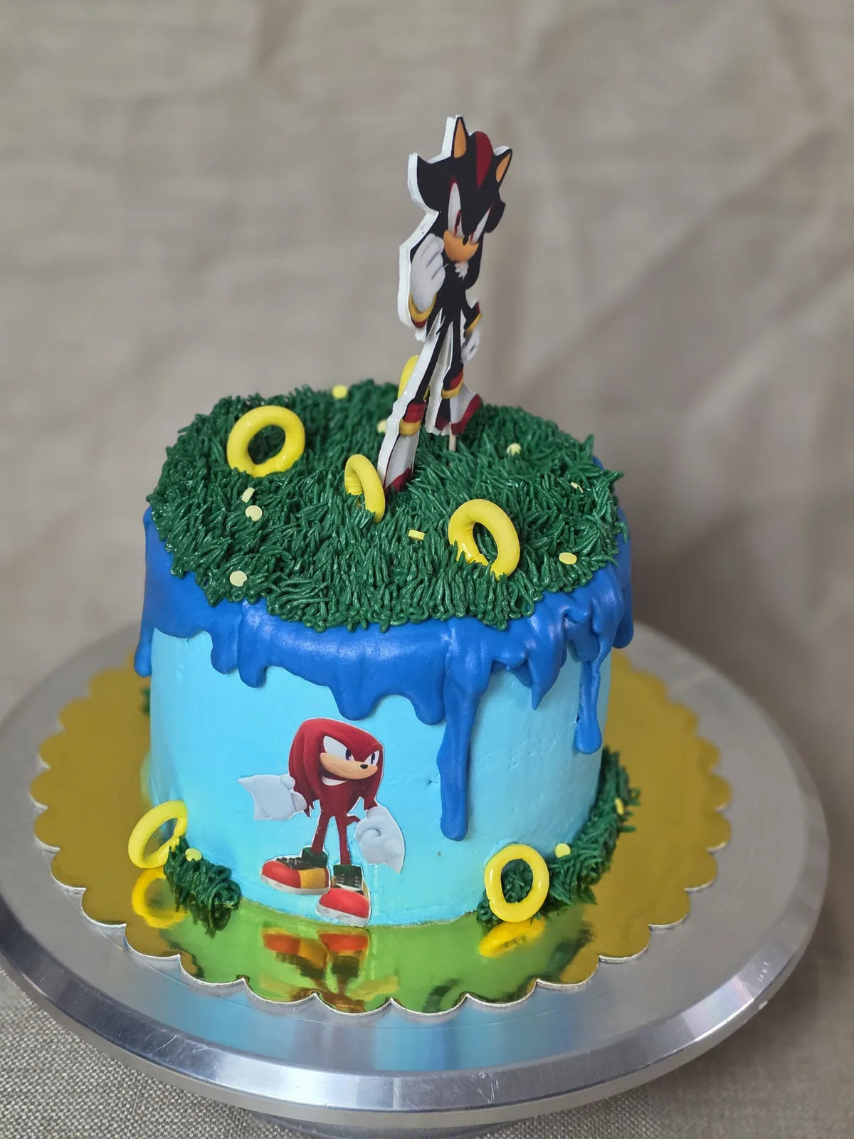 Light blue cake with dark blue drip icing topped with green grass frosting, yellow rings, and edible cutouts of a black hedgehog and red echidna character.